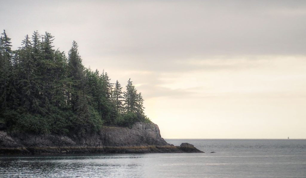 Alaskan Coastline Indigenous