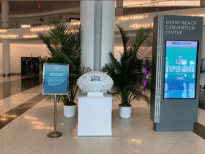 Plastic Football at Super Bowl Experience, Miami Beach Convention Center